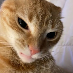 Meet your Posher, Yahaira